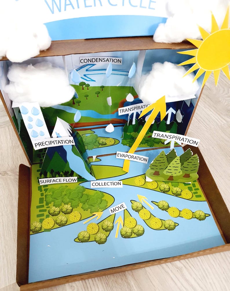 Printable Water Cycle Shoebox Diorama:project for Kids Digital File - Etsy