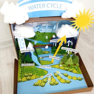 Printable Water Cycle Shoebox Diorama:project for Kids Digital File - Etsy
