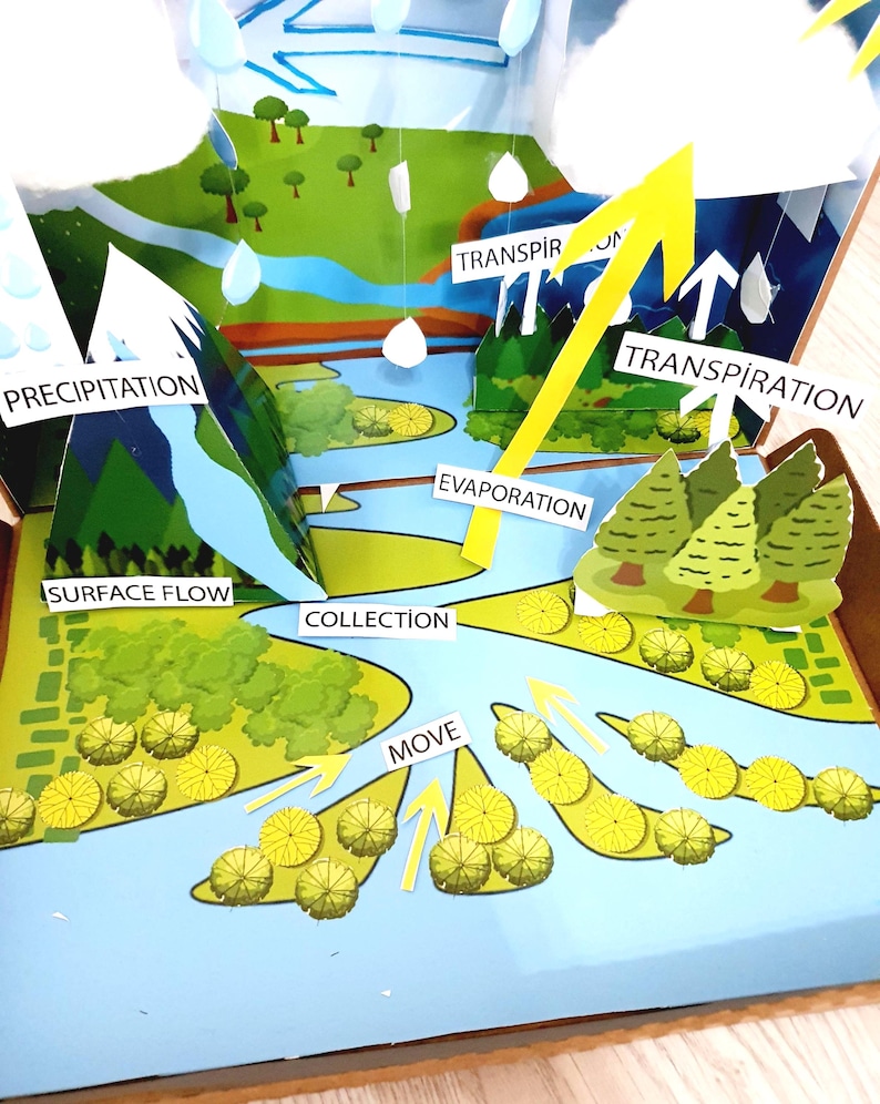 Printable Water Cycle Shoebox Diorama:project for Kids Digital File - Etsy