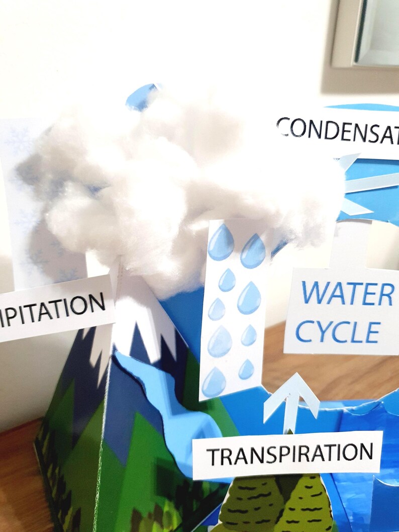 Printable Water Cycle Diagram:paper Craft Model Diorama Project for ...
