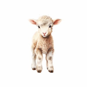 Cute Lamb Printable Wall Art, Watercolor Lamb Print, Nursery Wall Art, Animal Print, Farm Animal, Baby Animal