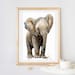 Baby Elephant Printable Wall Art, Watercolor Baby Elephant Painting ...
