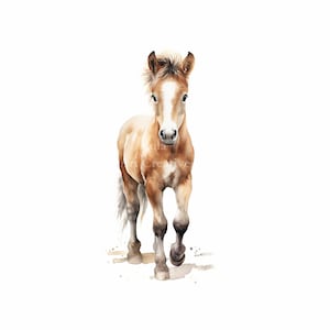Baby Horse Printable Wall Art, Watercolor Baby Horse Print, Nursery Wall Art, Animal Print, Farm Animal, Baby Animal