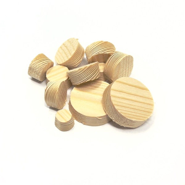 6 x Solid Pine Wood Tapered Plug for Concealing Screws