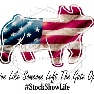 Flag show pig digital file, Stock show pig, Show pig PNG, Show Life Pig PNG Digital Download Sublimation, American flag pig