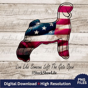 Flag show pig digital file, Stock show pig, Show pig PNG, Show Life Pig PNG Digital Download Sublimation, American flag pig