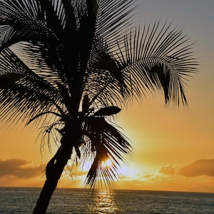 Sunset photos for digital download