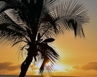 Fotos del atardecer para descarga digital