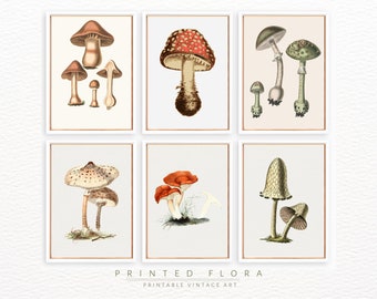 Vintage Mushroom Painting Wall Art Set | Gallery Print | DIGITAL PRINTABLE | Botanical Greenery Art | Whimsical Surreal Still Life | Moody