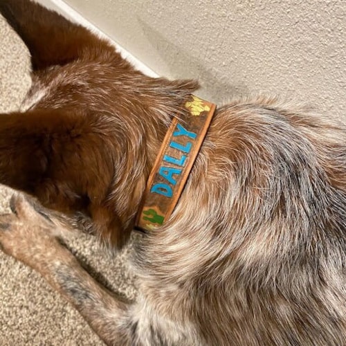 Hand Tooled Leather Dog Collarpersonalized With Hand Stamped Etsy