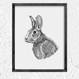 Rabbit | Pen and Ink Print | Nature Art | Black and White Vintage | Wildlife Wall Art