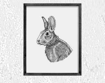 May include: Black and white line drawing of a rabbit's head and shoulders, looking to the left. The rabbit has long ears and a fluffy coat.