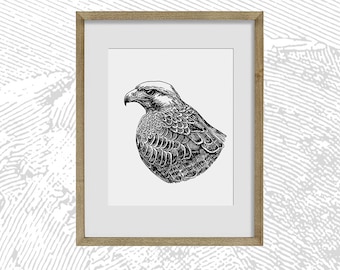 Hawk | Pen and Ink Print | Nature Art | Black and White Vintage | Wildlife Wall Art