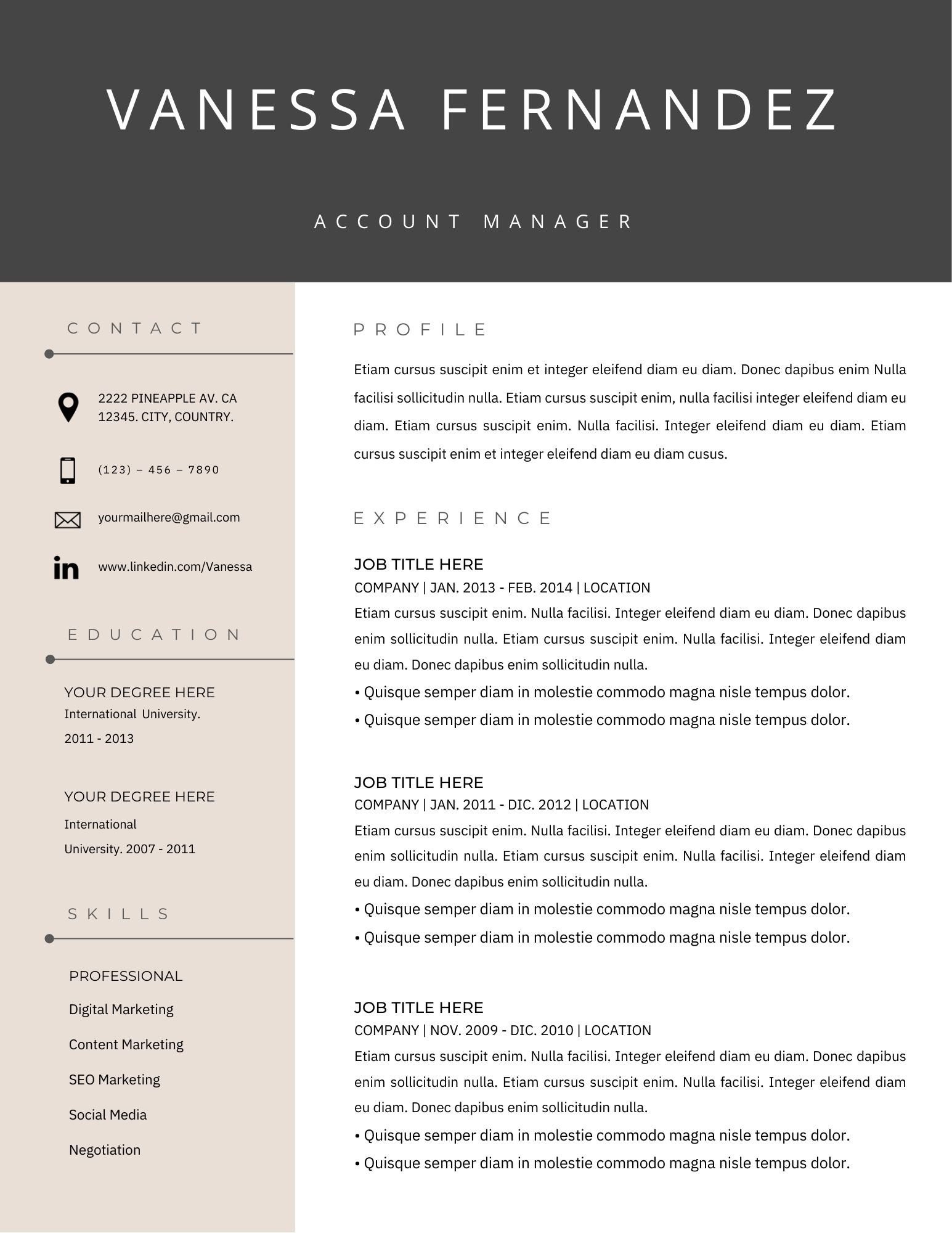 Executive Resume Template for Google Docs, Word, PDF File, Professional ...