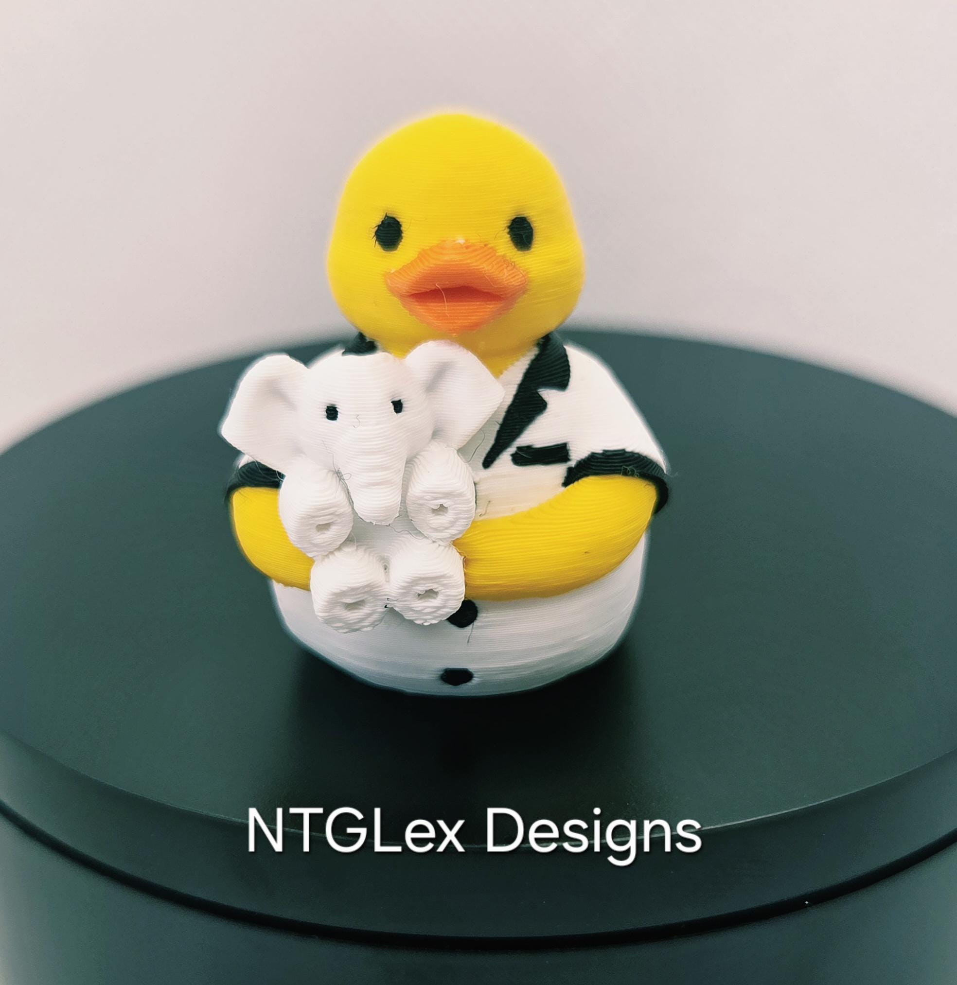 Placid plastic duck simulator - Etsy 日本