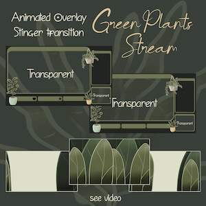 May include: Animated green plant overlay for Twitch or YouTube streams. The overlay features a green background with a text box that says "Transparent" and a hanging plant. The text "Green Plants Stream" is written in a cursive font at the top of the overlay.