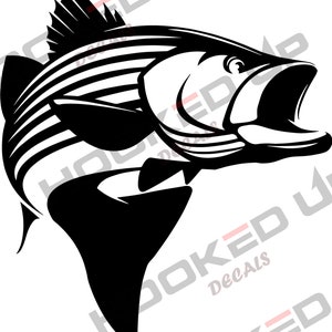 FGD Striped Bass Decal Fishing Window Sticker 12″x8″ (Fsh4) Eat Sleep Fish.  Universal Car Truck SUV Boat