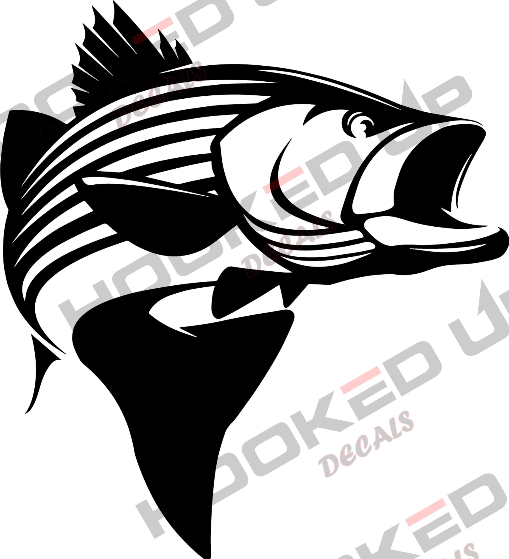 Striper Sticker Decal fly fishing glossy weather proof Striped Bass 4 1/2  x 4