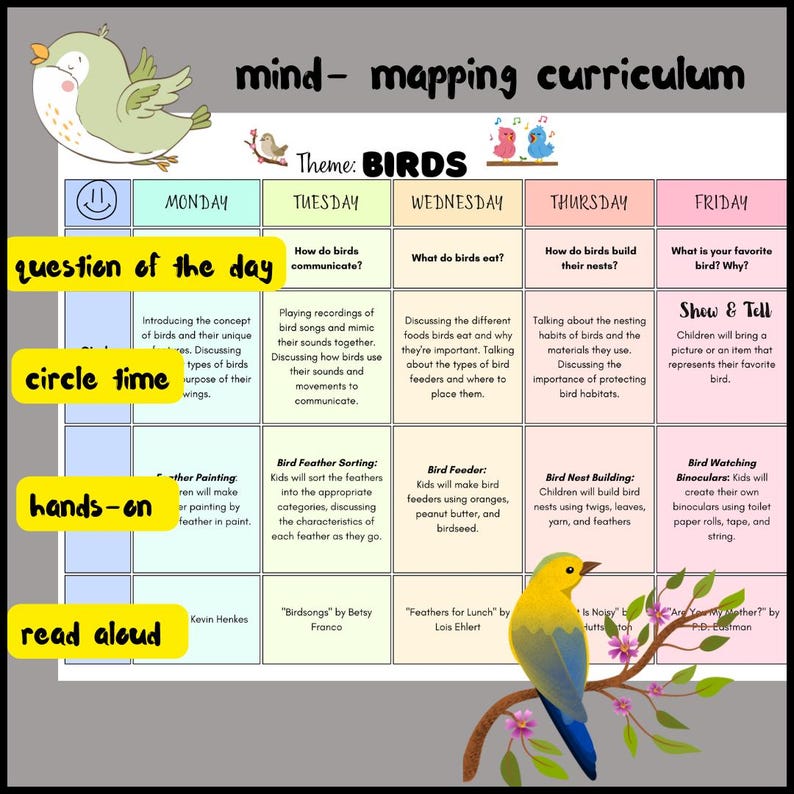 BIRDS- Preschool Weekly Lesson Plan - Etsy