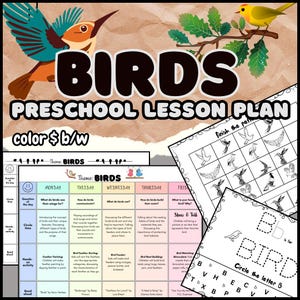 BIRDS- Preschool Weekly Lesson Plan