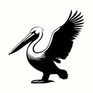 Pelican SVG, sylwetka ptaka PNG, clipart przybrzeżnej przyrody, marynistyczny wystrój plaży, grafika koszulki z pelikanem, wektor morski ptak, logo oceanicznego zwierzęcia