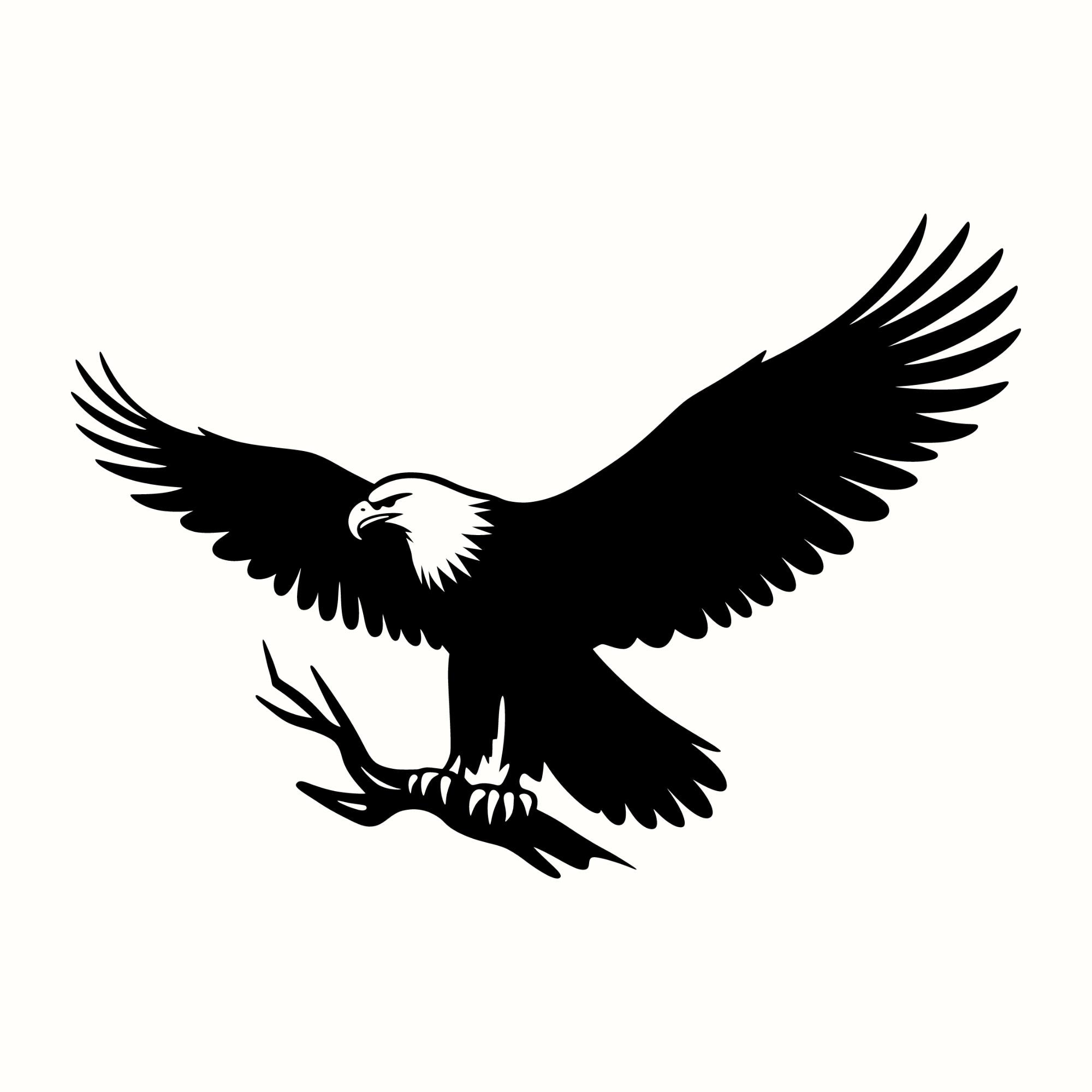 Eagle SVG, Bald Eagle PNG, Patriotic Bird Clipart, Wildlife Vector