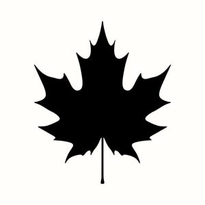 Ahornblatt SVG & PNG, Kanada Blatt Clipart, Ahornblatt Laser Cut Datei, Herbst Natur Dekor, Herbstlaub Silhouette, Canadian Pride Download