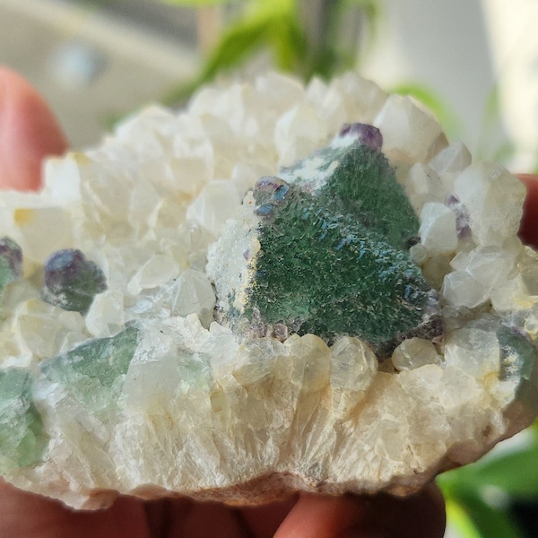 Green Stepped Octahedral Fluorites on Bed of Quartz Points - From Zhejiang