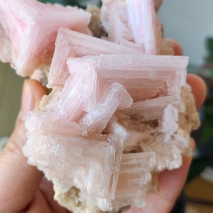 Peut inclure: Un amas de cristaux de sélénite rose avec une texture brute et naturelle. Les cristaux sont disposés en une formation délicate et en couches, créant une pièce visuellement attrayante et unique.