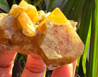 Cluster of Orange Scheelite Octahedrals