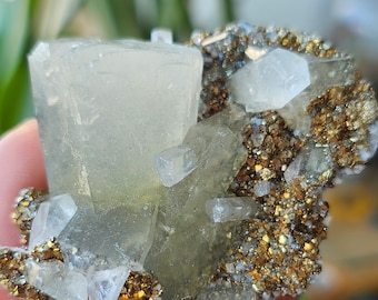 Clear Columnar Calcite with Shining Pyrite - From Anhui - Miniature Specimen