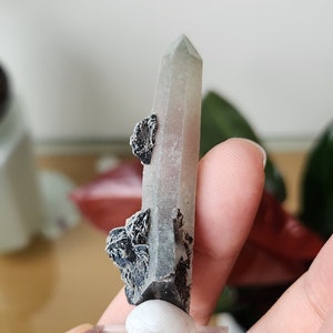 Rare Quartz Point with Hematite Rosette Blade - From Inner Mongolia