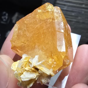 Incroyable spécimen de Scheelite orange gemme - avec muscovite