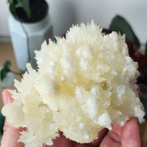 Large Spiky Cave Calcite Specimen - White Aragonite