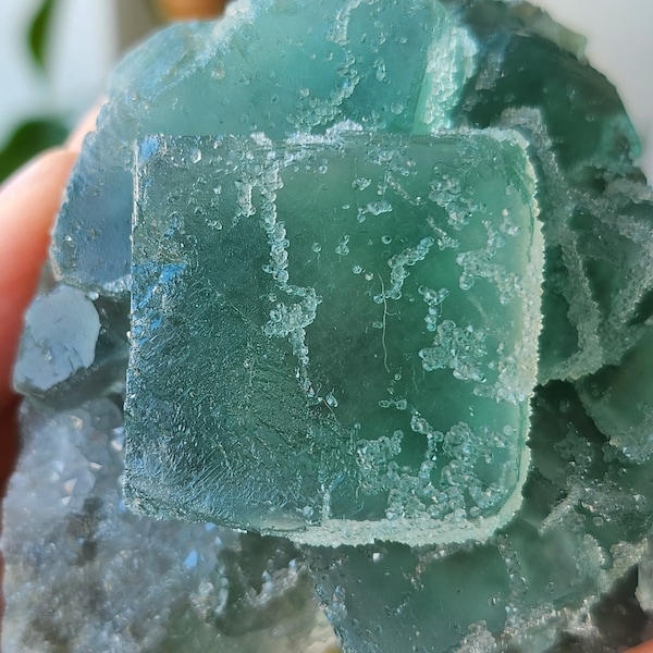 Chonky Big Cube Green Sugar Fluorite Specimen - From Fujian