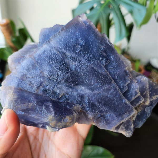 2.2LBS(1KG) Gigantic Blue Cubic Fluorite Specimen