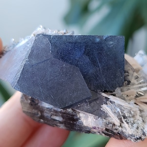 May include: A black crystal cluster with a large, flat, black crystal on top. The cluster is surrounded by smaller, clear crystals.