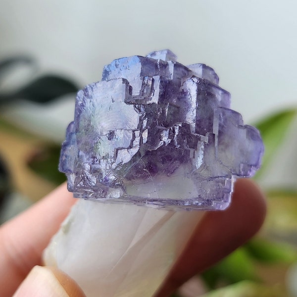 Glassy Purple Stepped Fluorite on Quartz Point - From Yaogangxian