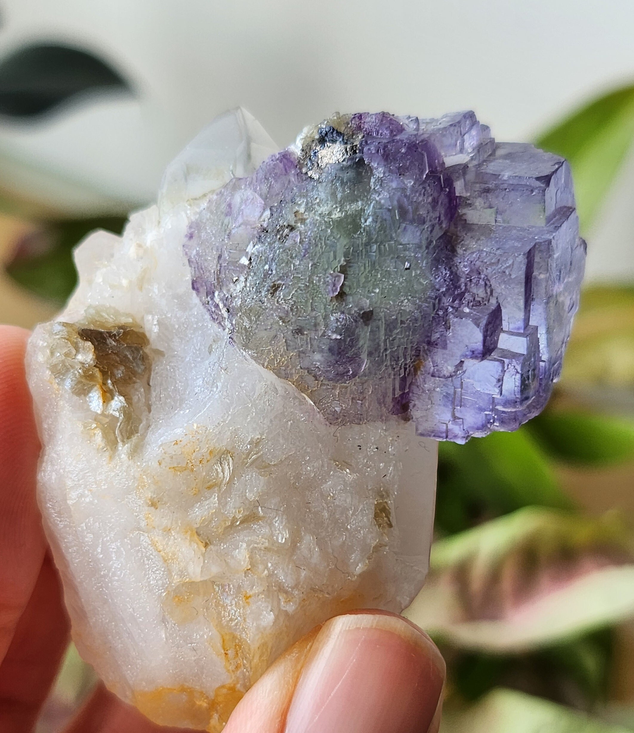 石英ポイント上のガラス状の紫色の階段状蛍石 - Yaogangxian 産 - Etsy