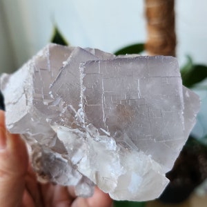 1.13LBS (515g) Gray Cubic Fluorite Specimen with Calcite