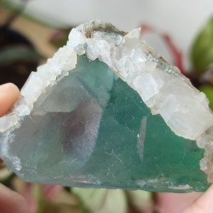 Green Cubic Fluorite with Calcite - From Yindu