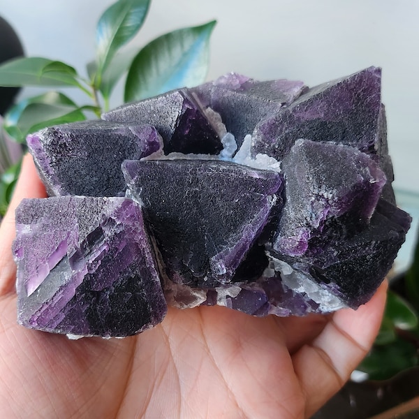 Large Purple Octahedral Fluorite Specimen w/ Blue and Green Layers of fluorite
