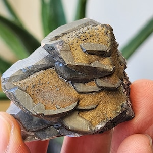 Pyrite on Calcite Specimen - Pyrite 'Pagoda Calcite' - From Hubei
