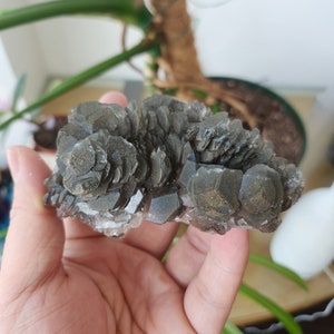 Pyrite and Marcasite Included Pagoda Calcite Specimen