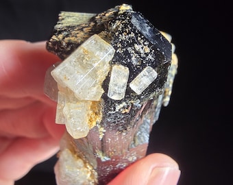 Goshenite on Black Tourmaline - From Namibia