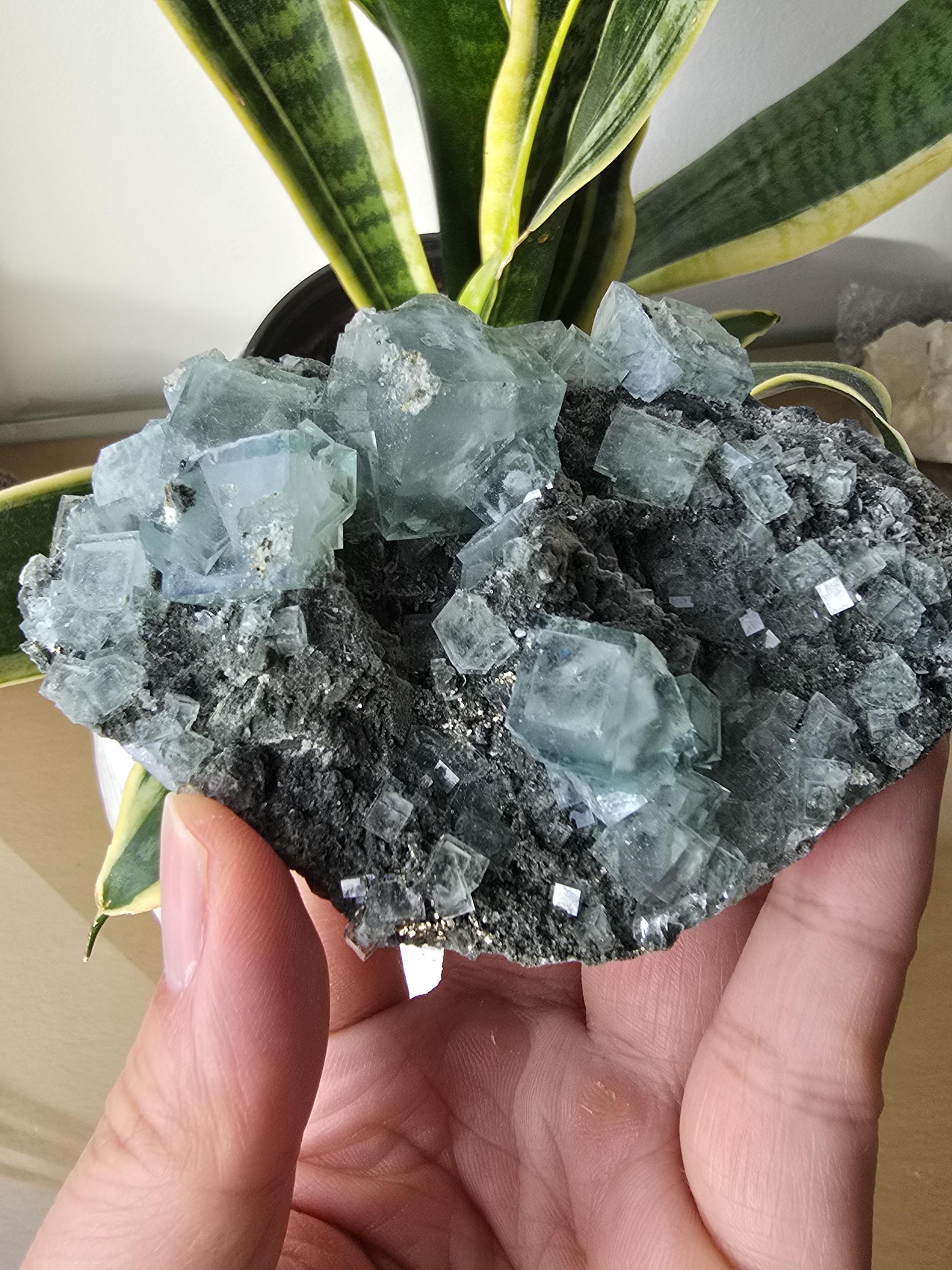 Okorusu fluorite - Etsy 日本