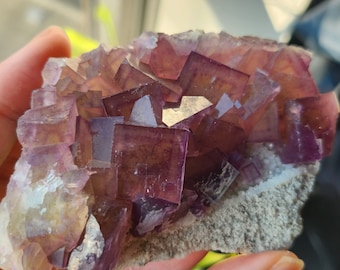 Bi-Color Yellow and Purple Fluorite Specimen w/ Window Phantoms - Old Stock - From Yaogangxian