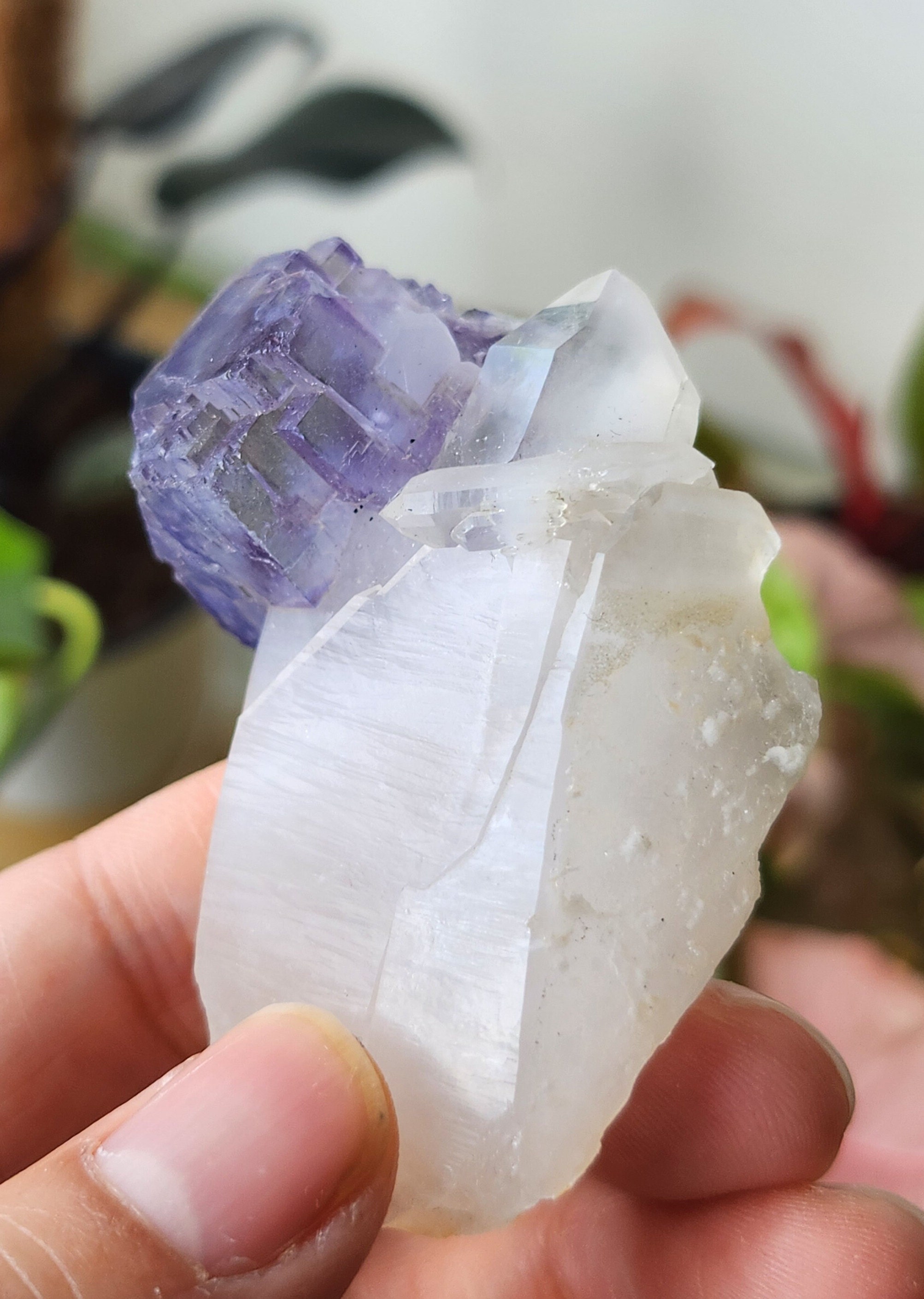 石英ポイント上のガラス状の紫色の階段状蛍石 - Yaogangxian 産 - Etsy