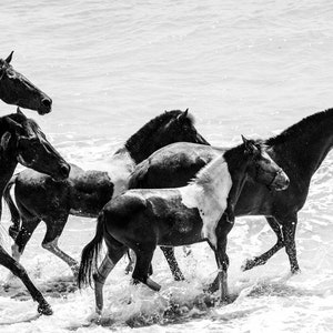 paarden wandelen op het strand digitale download - Hoge resolutie paarden foto