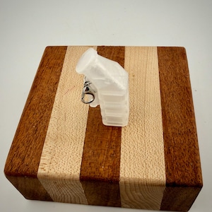 Divertidos adornos para insignias de enfermera: Canoa y urinario Cooter para el campeón CAUTI Urinal